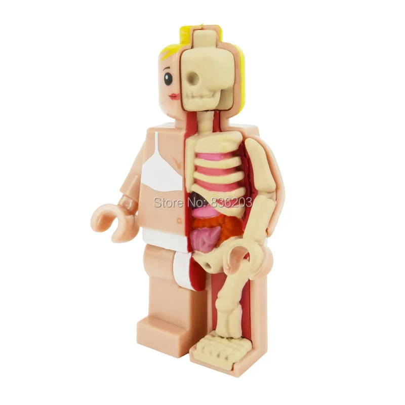 4D master vision Micro female Dissected figfunny анатомическая модель медицинская Джейсон Фрей Скелет Анатомические научные развивающие игрушки