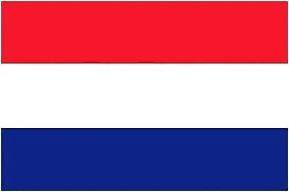Netherlands 100 шт./лот, ручные национальные флаги, 14x21 см, флаг России, США, Великобритании, Франции, Нидерландов, Испании, Израиля, ЕС, флаг, баннер с пластиковым флагштоком - Цвет: Netherlands