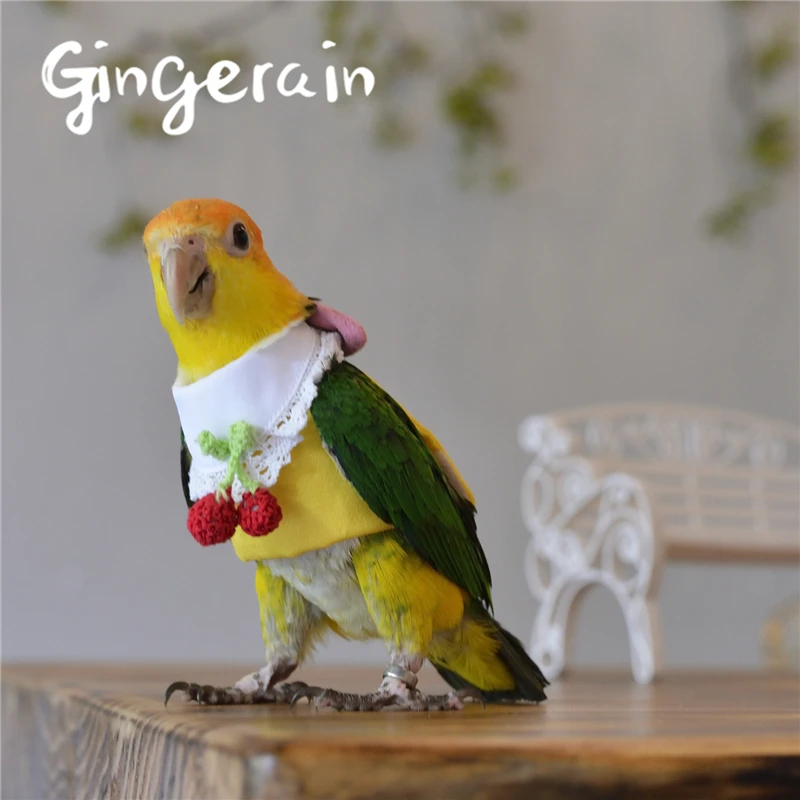 Gingerain одежда с птицами для попугаев вишневый свитер оригинальный ручной работы