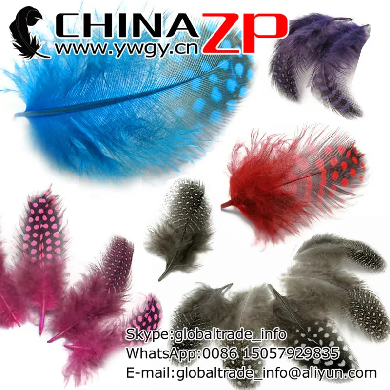 

No.1 Plumage Supplier CHINAZP Factory 200pcs/lot Dyed Mix Color Polka Dot Guinea Hen Feathers