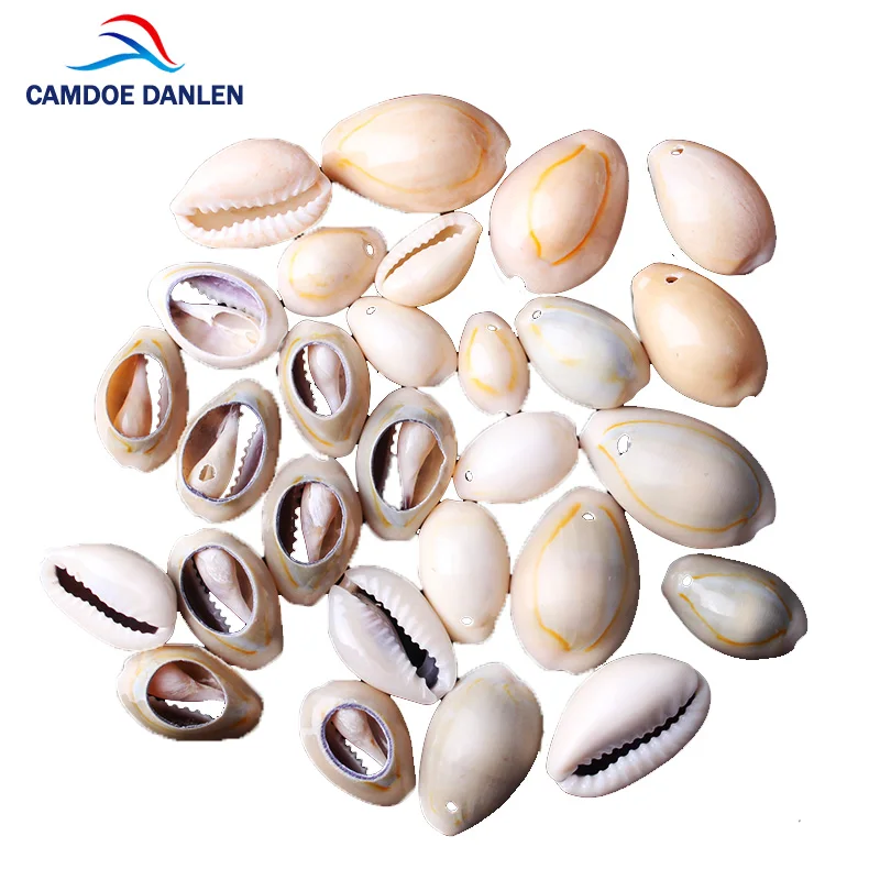 CAMDOE DANLEN бусины из натуральных раковин 13 26 мм белый Cowrie патроны подходят Diy женские