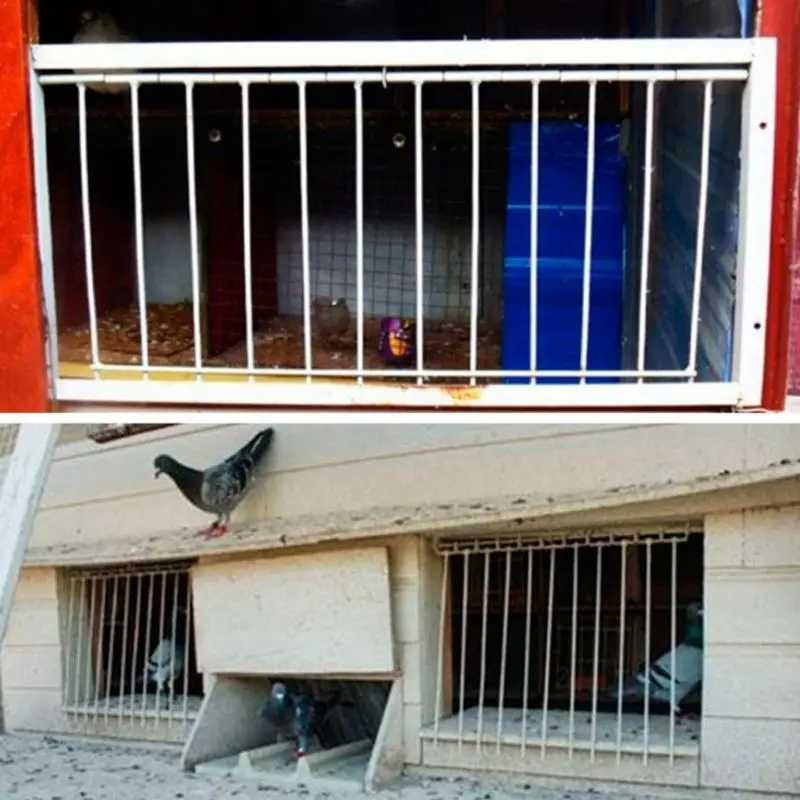 

Pigeon Door Metal Wire Bars Frame Entrance Trapping Doors Loft Animal Birds Supplies Catching Bar Entry Curtain Bird Accessories