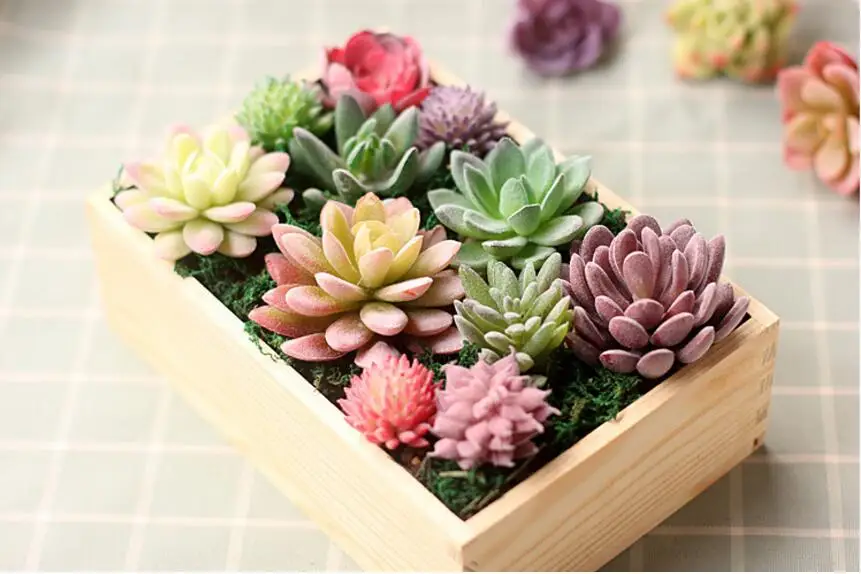 10 шт Красочные Искусственные пластиковые ПВХ суккуленты растения Цветок для