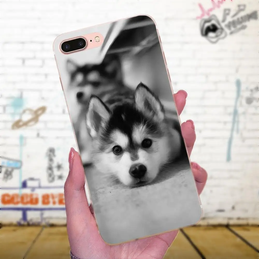 TPU мобильный телефон для Galaxy J1 J2 J3 J330 J4 J5 J6 J7 J730 J8 2015 2016 2017 2018 mini Pro Wacky Husky | Мобильные