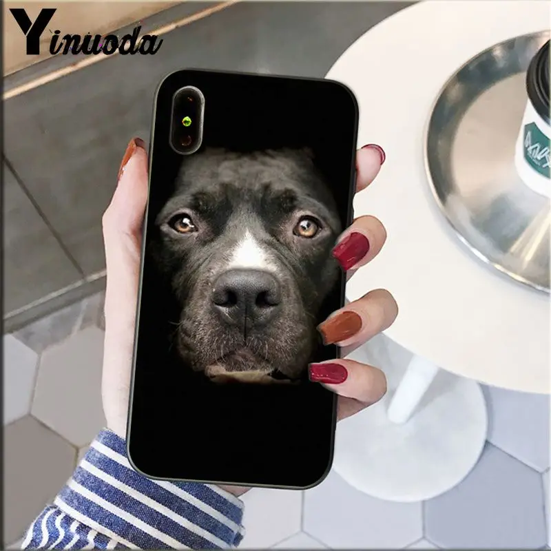 Yinuoda Pit Bull прекрасная комнатная собачка Pitbull TPU Мягкий силиконовый чехол для телефона iPhone 5 5Sx 6 7plus 8 8Plus X XS MAX XR