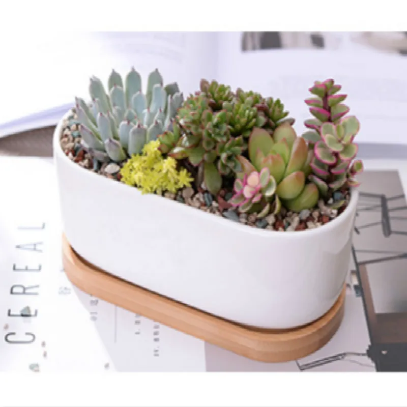 Minimalist White Ceramic Succulent Plant Pot Porcelain Planter Decorative Desktop Flower Home Decor Creative Flowerpot | Дом и сад