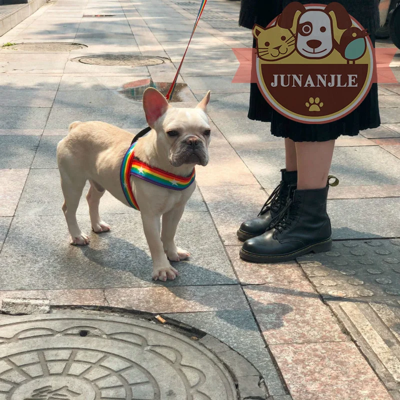 Радужный цвет ошейник для собак кошек бульдог котенок Чихуахуа щенок питбуль