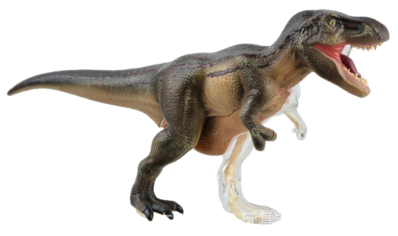 Собранная 4D T REX модель скелета анатомии динозавра полностью отсоединяемая тела 36