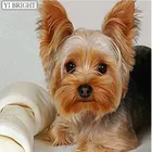 Полная Алмазная вышивка, животное, йоркширская собака 5D, алмазная живопись, вышивка крестиком, Алмазная мозаика, рукоделие, поделки, LK1