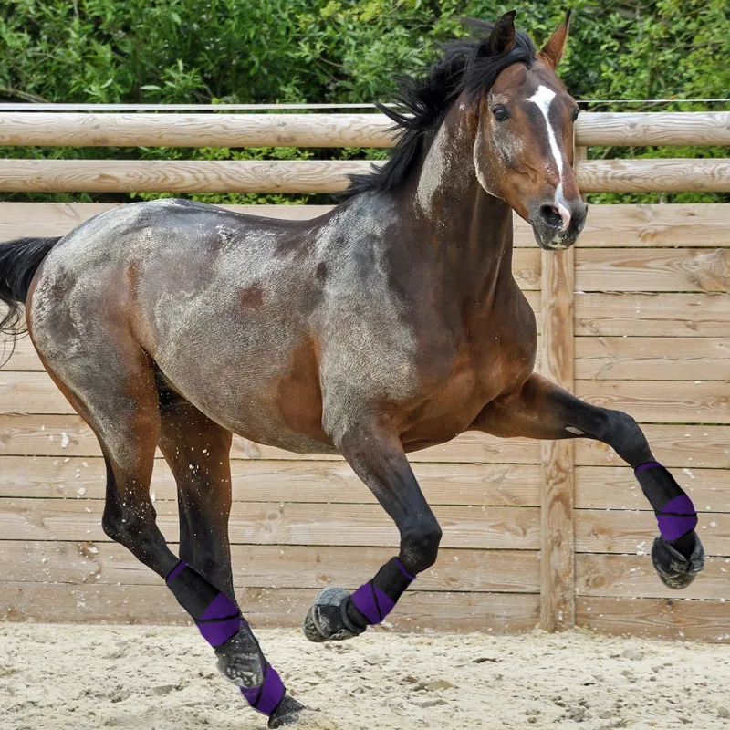 Сапоги для верховой езды Hisea paardensport высокоэластичные сапоги | Спорт и развлечения