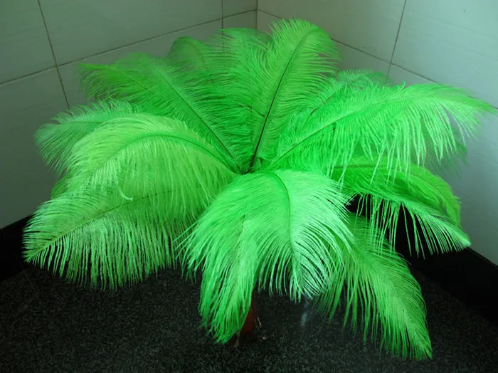 

Wholesale ostrich feathers! 100pcs / lot Natural ostrich feather 25-30 cm / 10 "-12" inch wedding birthday Christmas decoration
