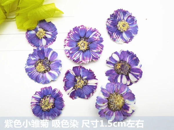 120 шт. Бесплатная доставка прессованный цветок высушенный натуральные цветы DIY