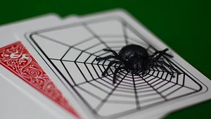 Высокое качество The Web by Jim Pace (в комплект входят все трюки)-Magic трюки карта Веселые волшебные игрушки