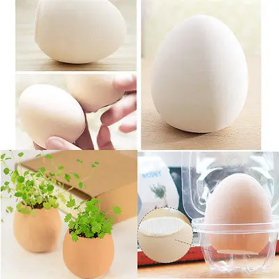 DIY комнатное яйцо бонсай сад красивые семена цветов растение для домашнего офиса