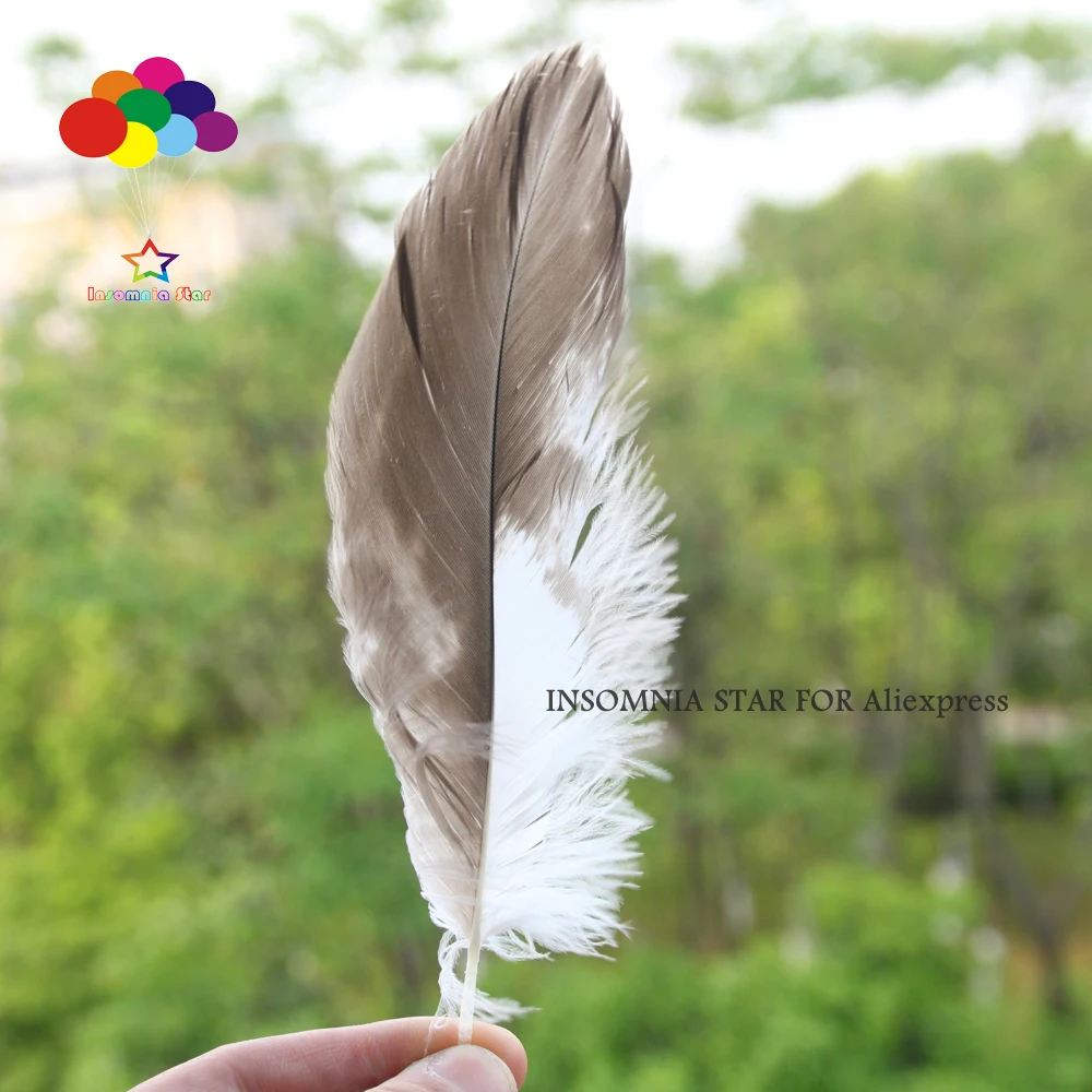 

10 pcs Natural Golden rare feathers 4-6 inch/10-15cm Diy Carnival headress mask