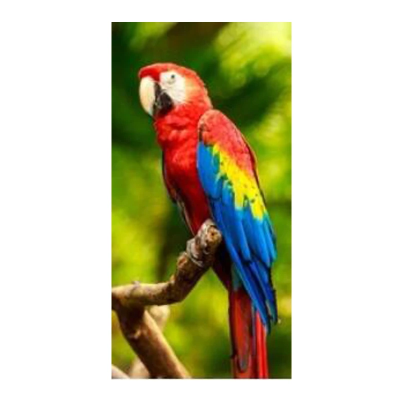For Adult Colorful Parrot Bird Portrait Shower Hand Towel Gift