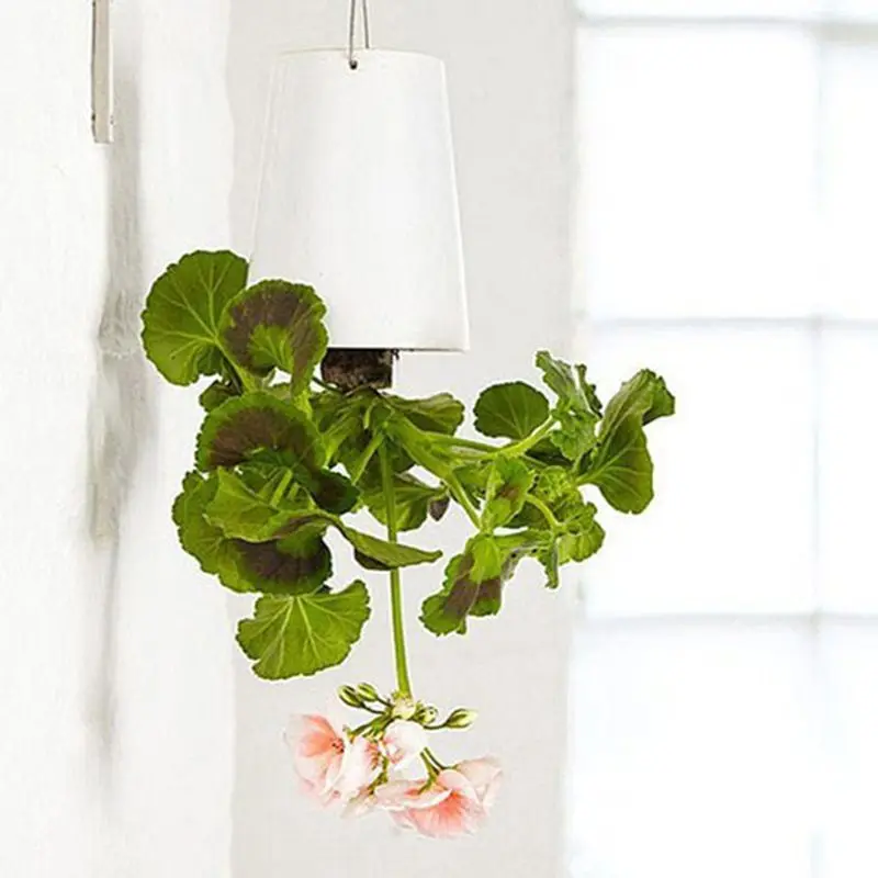 Вверх дном пластиковый Небесный плантатор креативное растение садовый