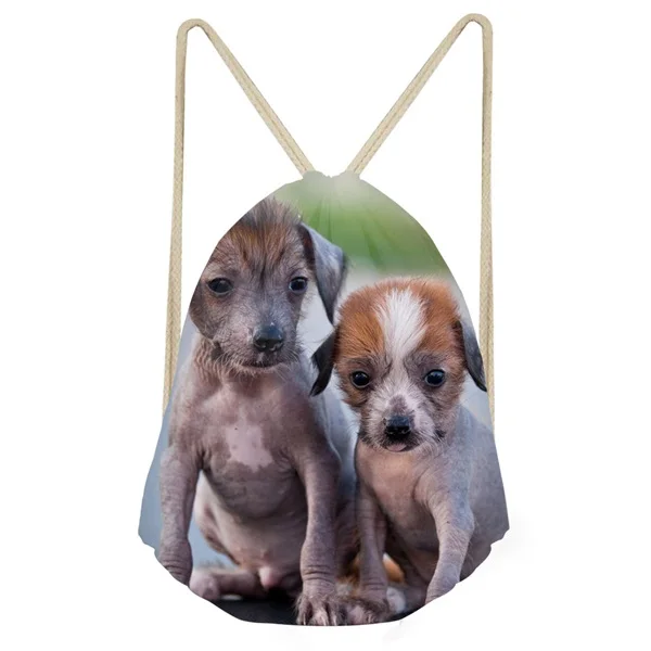 INSTANTARTS Милые 3D печать Китайская хохлатая собака печать женщина Drawstring сумки многофункциональные рюкзаки из мягкой ткани девушки пляжные сумки - Цвет: CJ0585Z3
