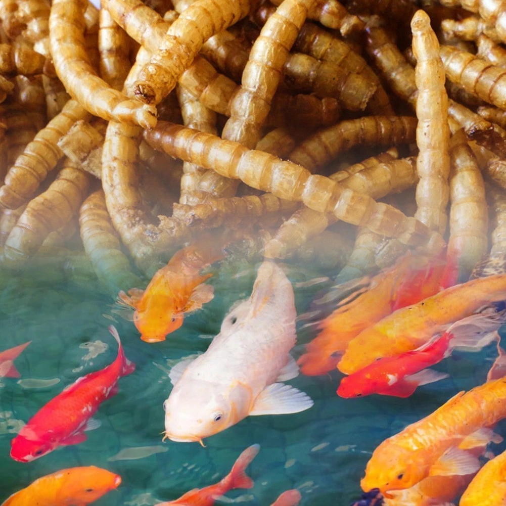 30 г черепаха Еда корм палочки Betta Fish подачи гранул сушеной рыбы креветки хлебные