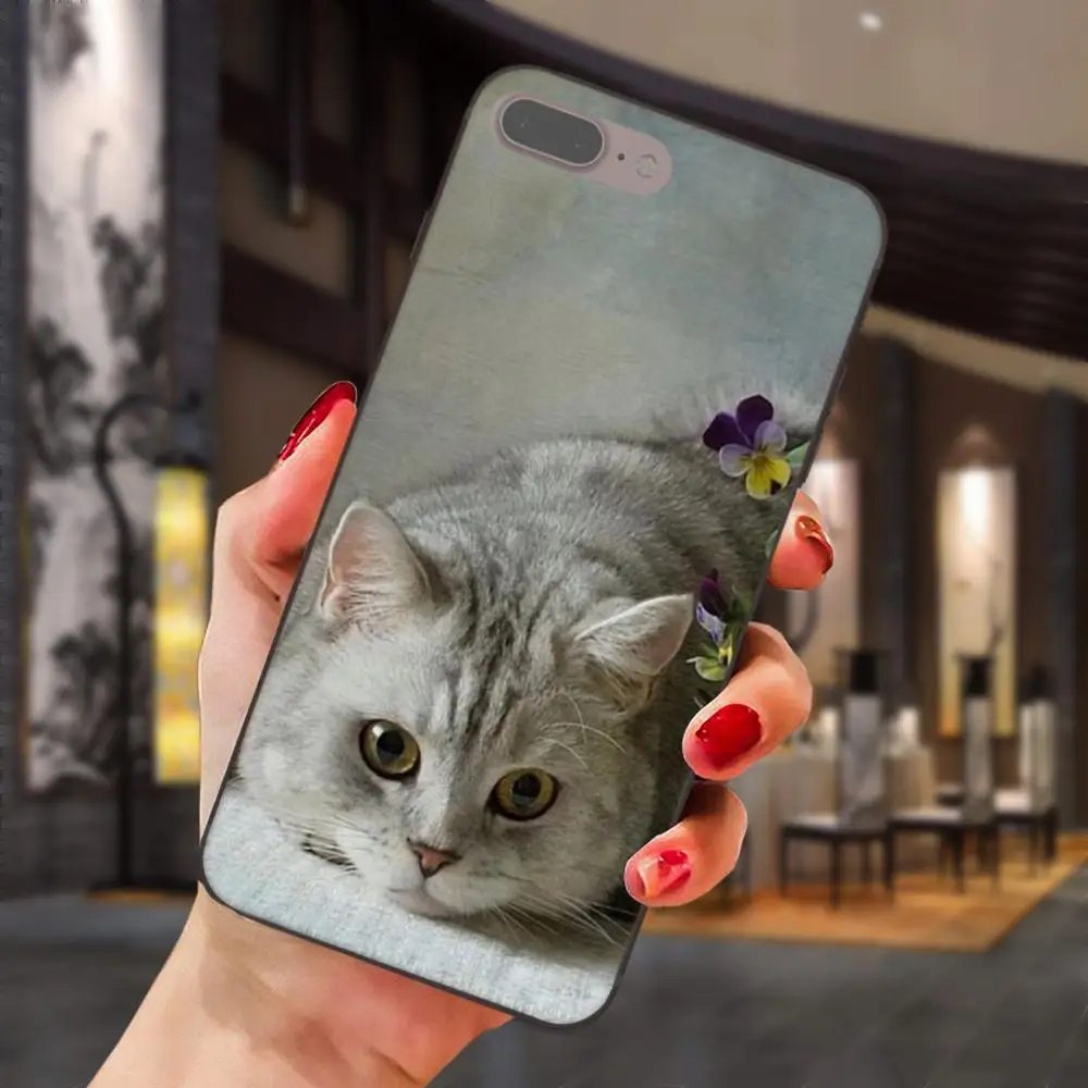 as picture Просвечивающий чехол из мягкого британская; топ с рисунком кошки для huawei Honor 5A 6A 6C 7A 7C 7X 8A 8C 8X9 10 P8 P9 P10 P20 P30 Мини Lite рlus - Цвет: as picture