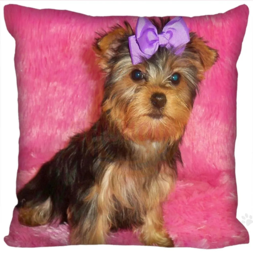 Горячий продукт Бесплатная доставка индивидуальная квадратная наволочка