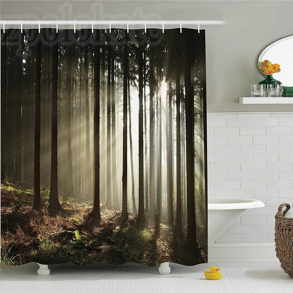 Фермерский дом Солнечный свет входящий в хвойный лес на туманной осенней