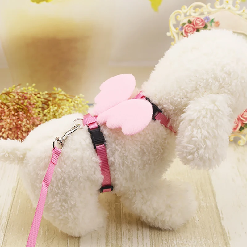 Набор ошейников для милых собак поводок с углами и крыльями маленьких кошек