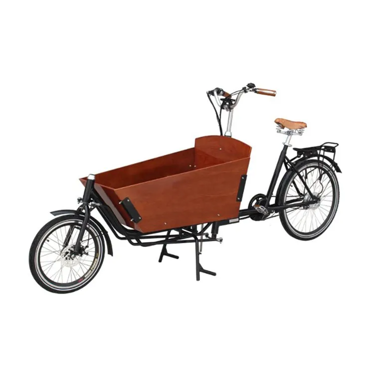 

Beautiful design 3 wheels electric tricycle cargo bike for carrying kids