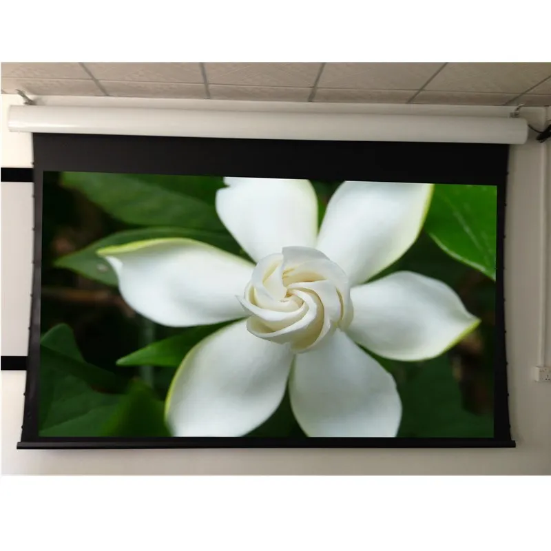 Китайский завод прямых продаж 100 &quot2 35: 1 моторизованный таб натянутый экран с