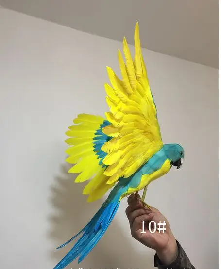 Большие 40x60 см пенопластовые и Разноцветные перья раздвижные крылья попугай