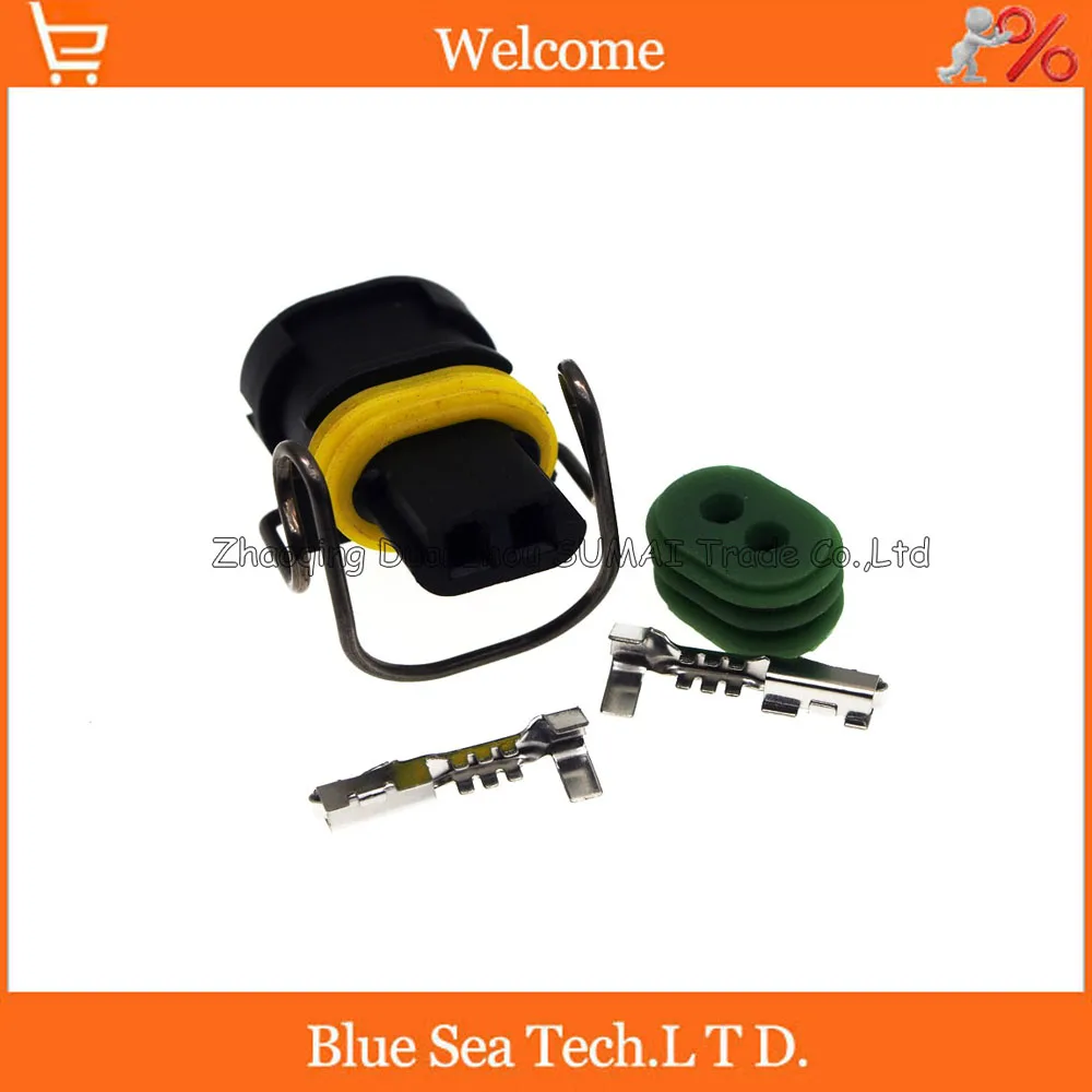 2 Pin автомобильный двигатель цилиндры головка клапанная камера вилка заглушка