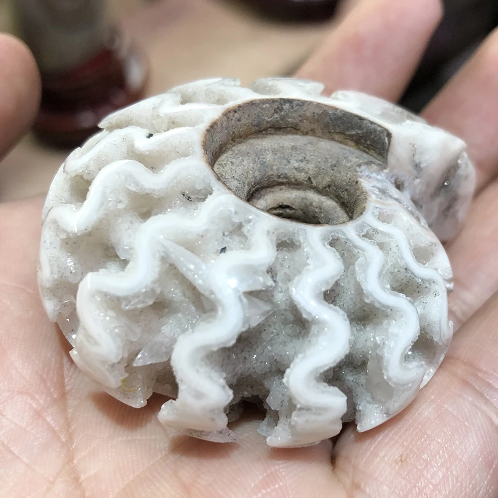 Топ! Натуральный аммонит минерал Geode Drusy образец океанской улитки кварцевый