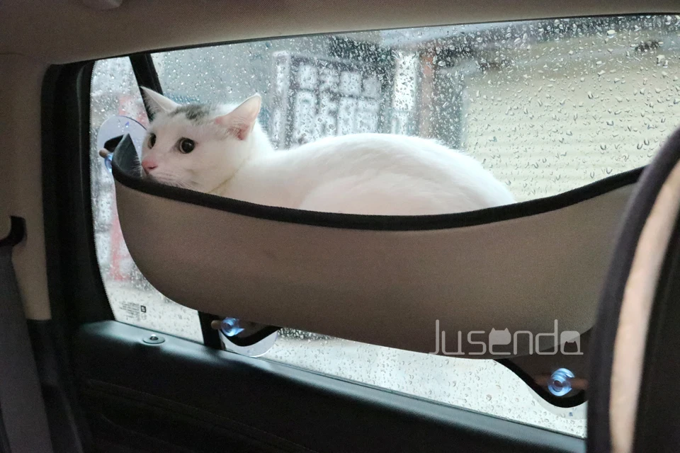 Подвесной гамак для кошек мягкий сна на присоске использования улице|hammock for