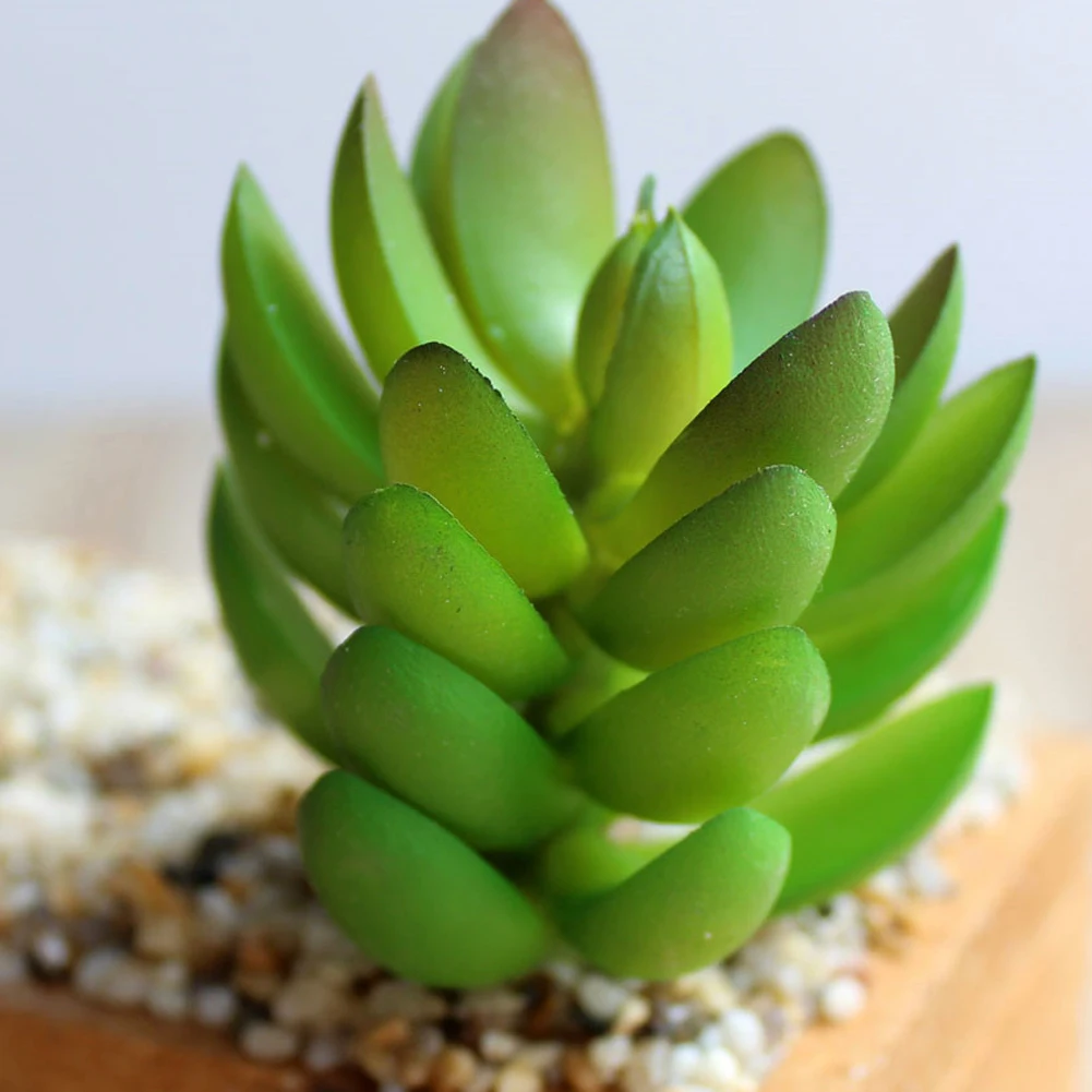 Simulation Succulent Plants Decorative Life-Like Shape Hand Crafts Artificial Landscape Accessories -1Pc Green | Дом и сад