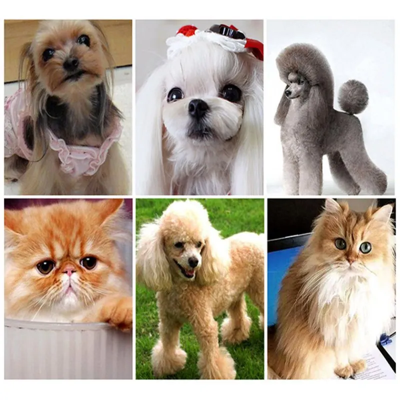 Pet Уход за лошадьми расческа для собак и кошек щенки Расческа Щетка для ухода за волосами для удаления волос Нержавеющая сталь линять грабли расческа товары для животных