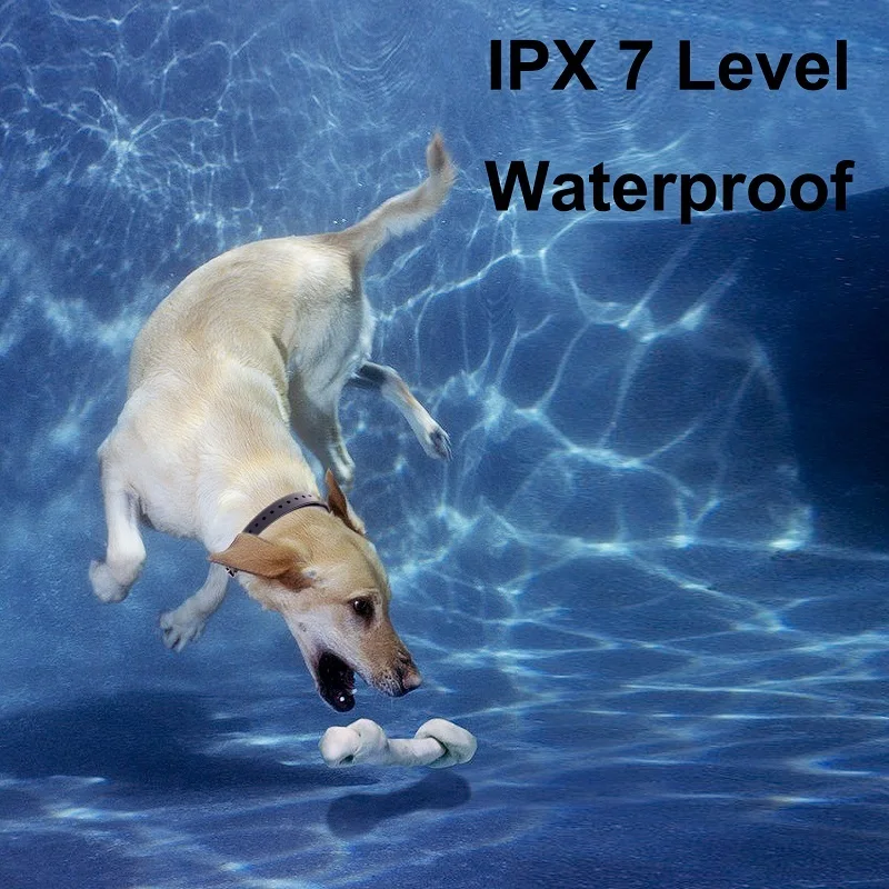 Перезаряжаемый и водонепроницаемый тренировочный ошейник для собак с