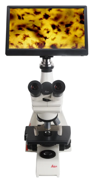 Камера AM серии 11 6 дюймов HD 1080P LCD IPS Displayer монитор для CMOS HDMI видео микроскоп камера
