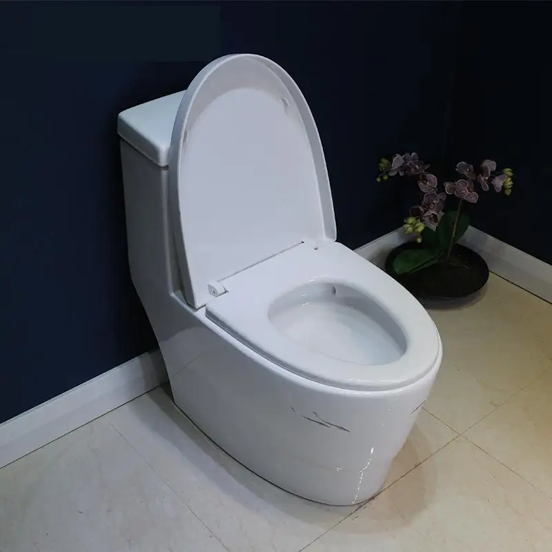 Conjoined Art Toilet Mute Water Saving Anti Odor Bathroom Ink And Lotus pattern Household seat | Обустройство дома