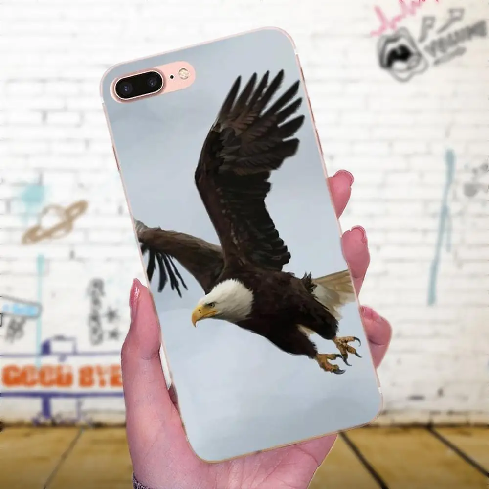 Мягкий чехол из ТПУ Eagles Flying Dominant для Apple iPhone X XS Max XR 4 4S 5 5C 5S SE 6 6S 7 8 Plus | Мобильные