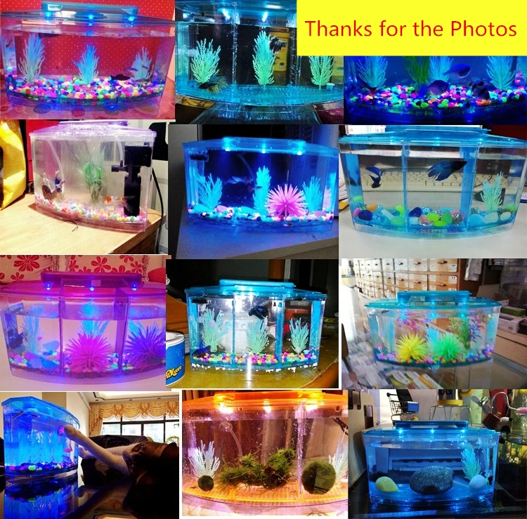 Светодиодный светильник для аквариума из акрила с тремя разделениями Betta Fish Tank с тройным бантом и изоляцией люка, коробка для пород синего и фиолетового цветов AT007