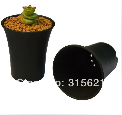 4 шт. вьющаяся раковина для растений 7 8 см х 9 см|plant organ|flowerpot wallplant figurines |