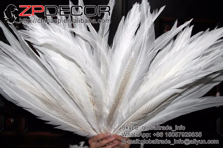 Zpdecor 24-26 дюймов(60-65 см) 50 шт./лот длинные высококачественные серебряные перья из хвоста фазана белые отбеленные