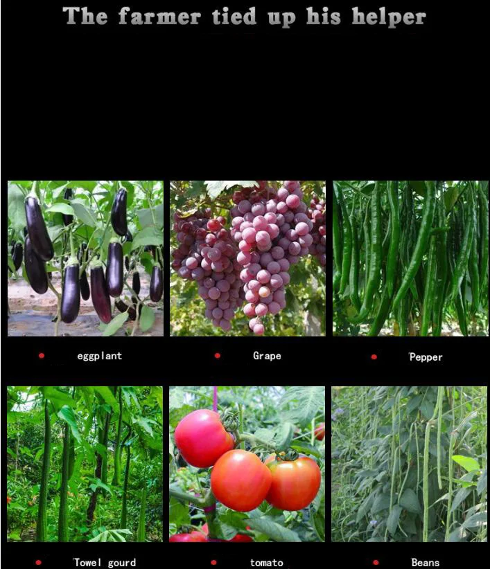 Новая связывающая переходная машина садовые инструменты Tapetool Tapener стебель обвязки растений привязывание Tapetool упаковка стволовых обвязки связывания инструменты