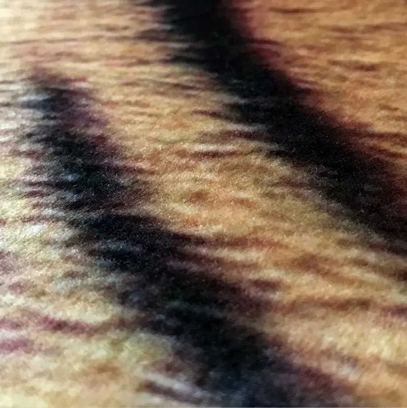 Гостиная половик для вытирания ног Тигр нескользящий ковер лестниц мягкая