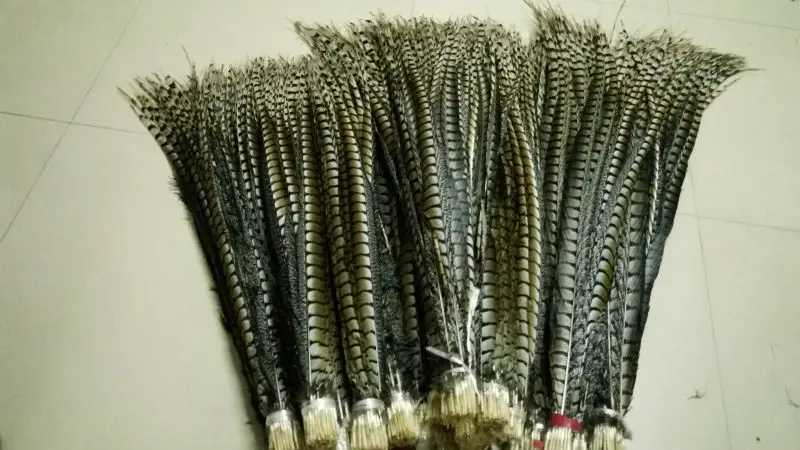

wholesale scare 50pcs high quality Original natural Lady Amherst Pheasant Feathers 100-110cm/40-44inch Wedding Accessories
