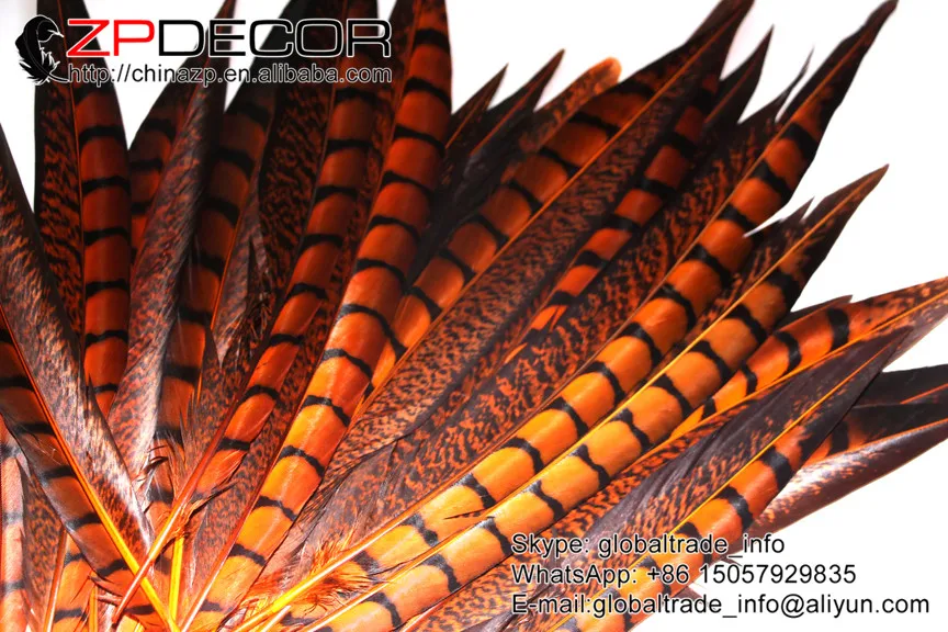 Розничная и оптовая продажа от ZPDECOR 10 12 дюймов (25 30 см) 50 шт./лот оранжевые