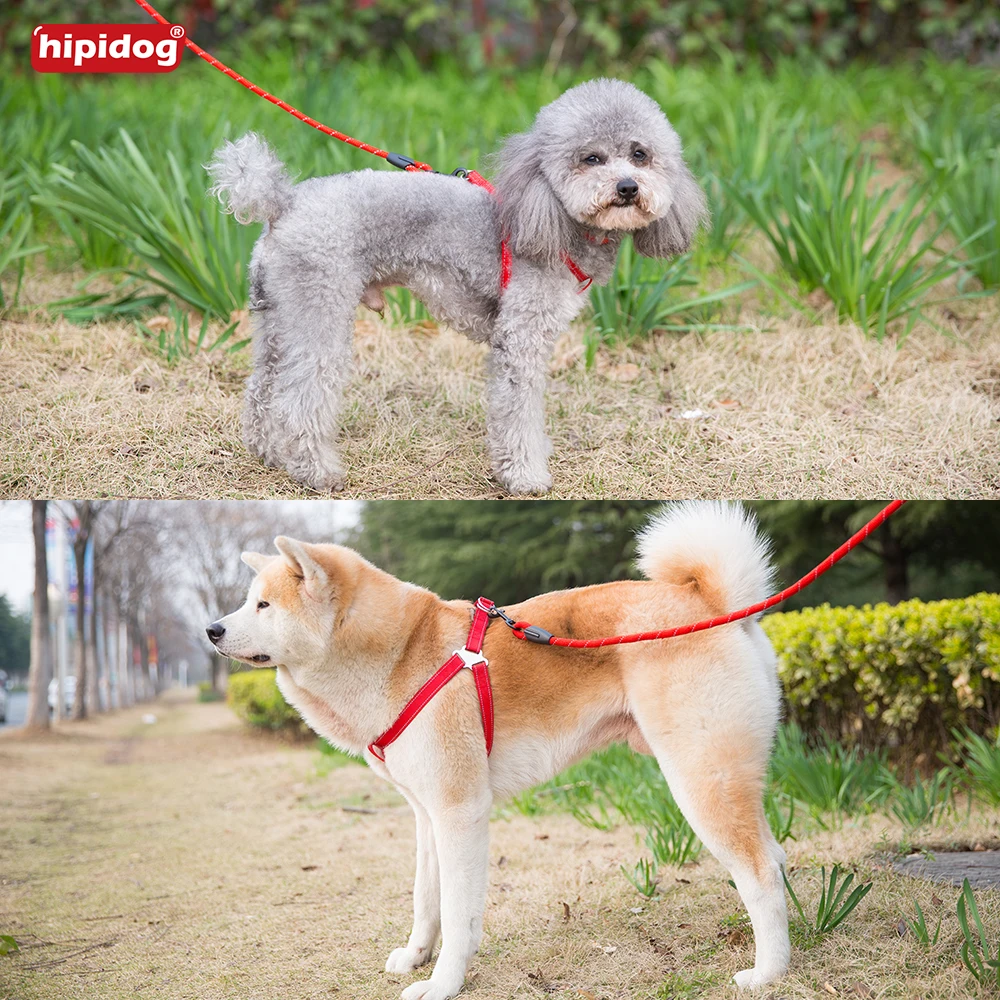 Hipidog собаку поводок жгут и воротник прочный сильный нейлон Регулируемый собака