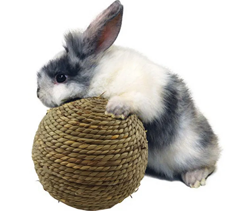 Игрушка-попугай для домашних животных 10 см | Дом и сад