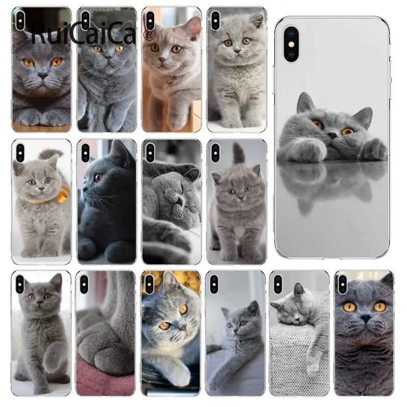 Ruicaica Британский короткошерстный умный чехол для iPhone 8 7 6 6S Plus 5 5S SE XR X XS