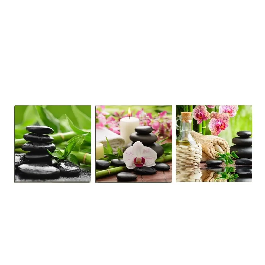 Картина на холсте настенная живопись Современная Природа семена 3 предмета